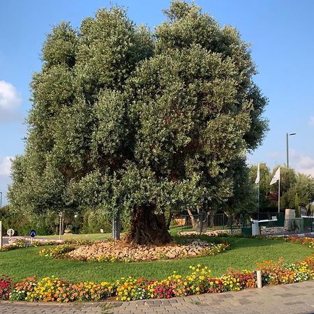 Mina'S Suites - קיסריה Extérieur photo